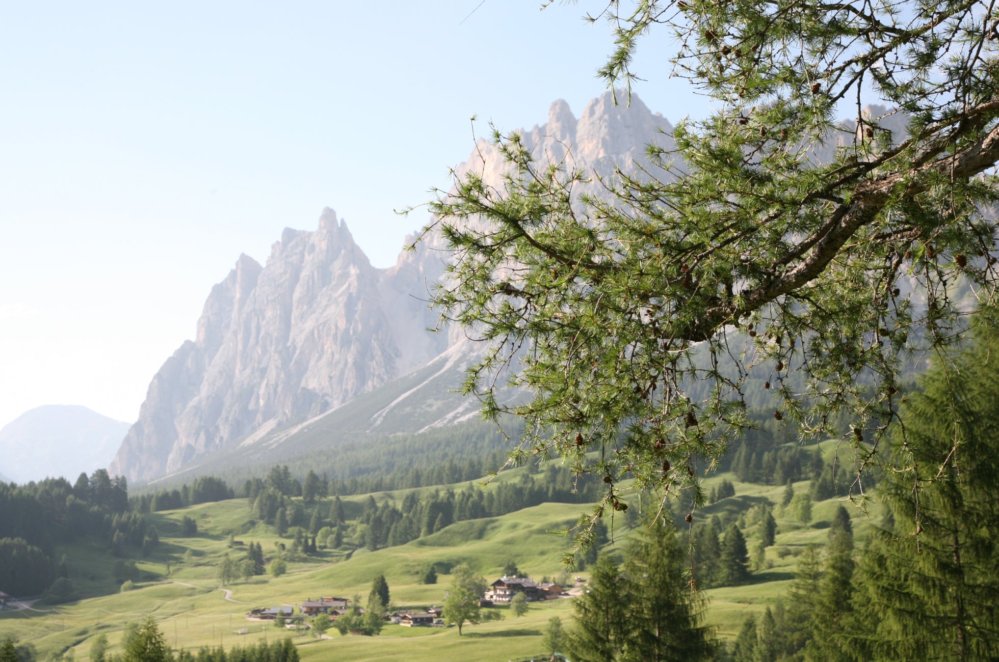 Cortina Edizione Limitata — Pure elegance Cortina Edizione Limitata — Pure elegance